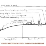 Shoreline illustrations for inclusion in BCDC's Shoreline Spaces Public Access Design Guideline handbook.