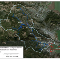 Watershed map of Corte Madera Creek