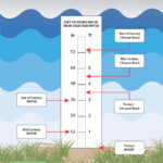 A graphic showing different levels of sea level rise and flooding events (*MHHW = Mean Higher High Water)