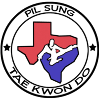 Logo for a Texas Martial Arts Studio Logo for a Texas Martial Arts Studio